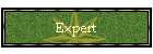 Expert