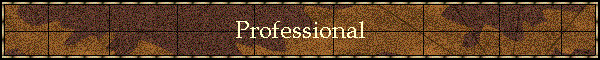 Professional